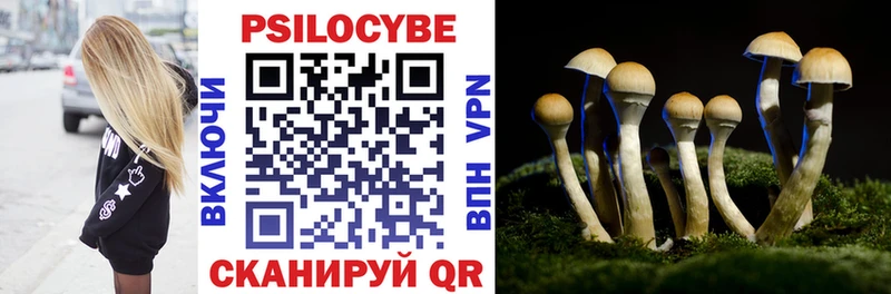 Псилоцибиновые грибы прущие грибы  Андреаполь 